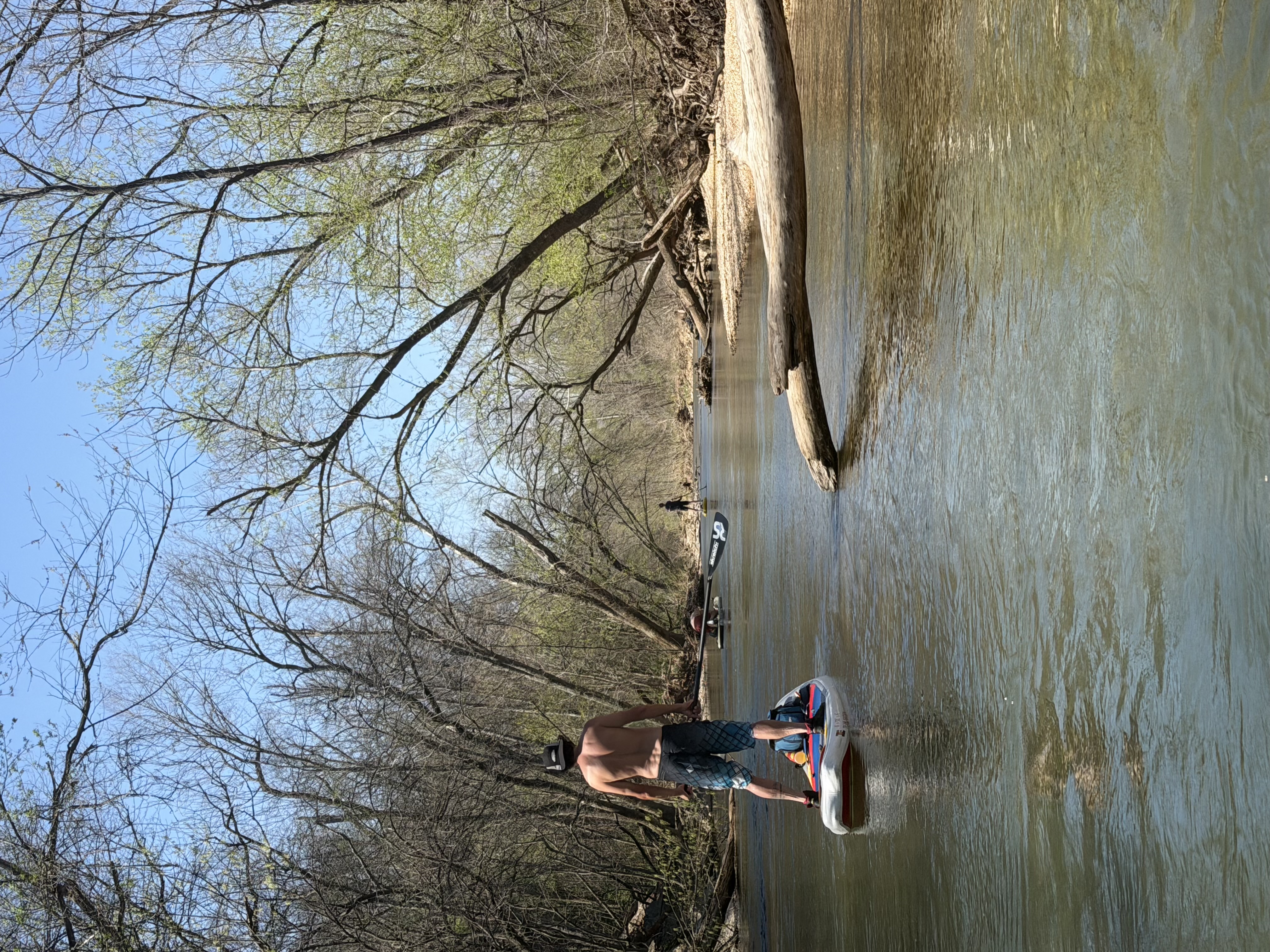 A paddler standing on a SUP board floating past trees on Little Sugar Creek