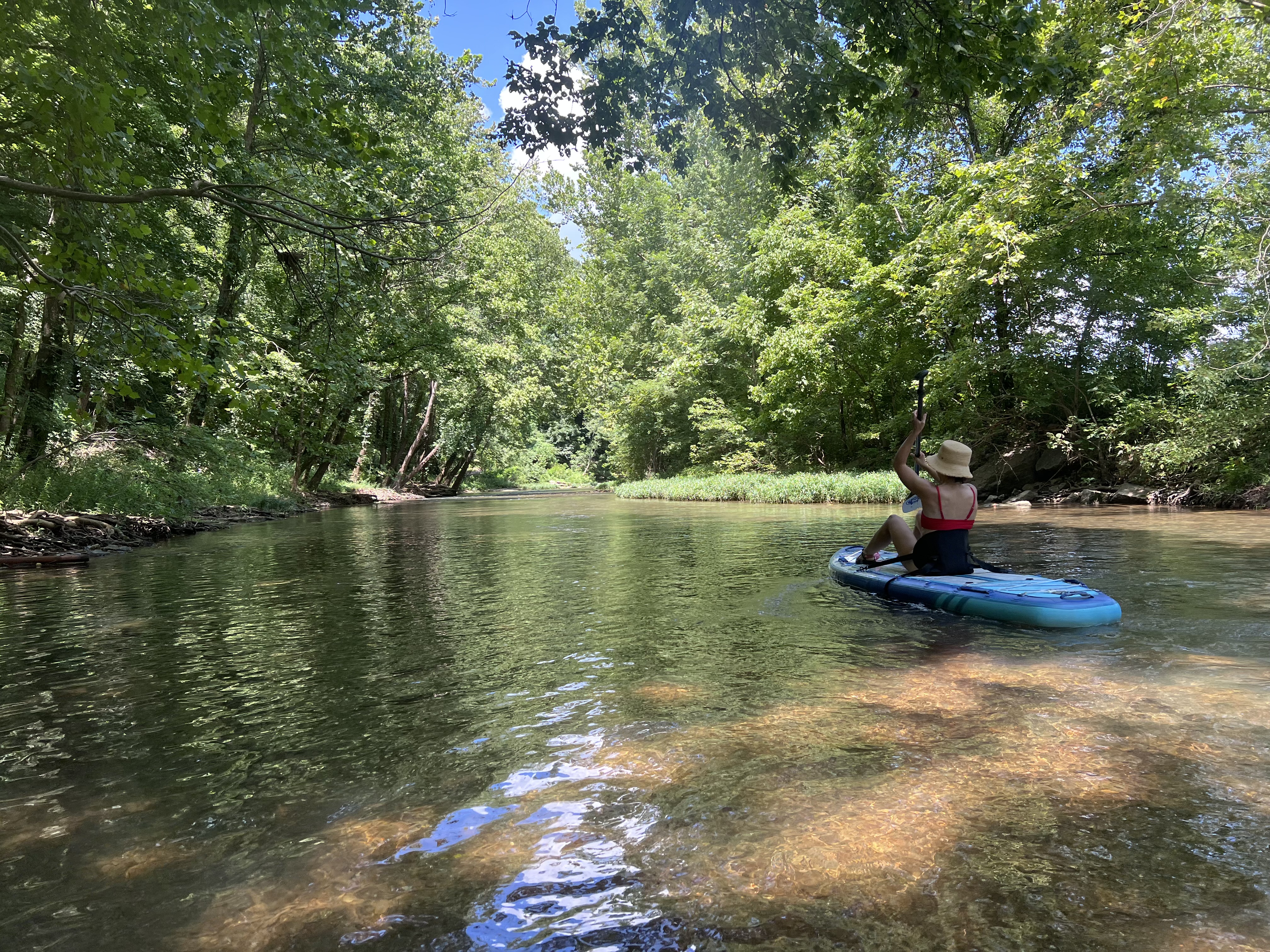 A paddler sitting on a SUP board from behind on Little Sugar Creek