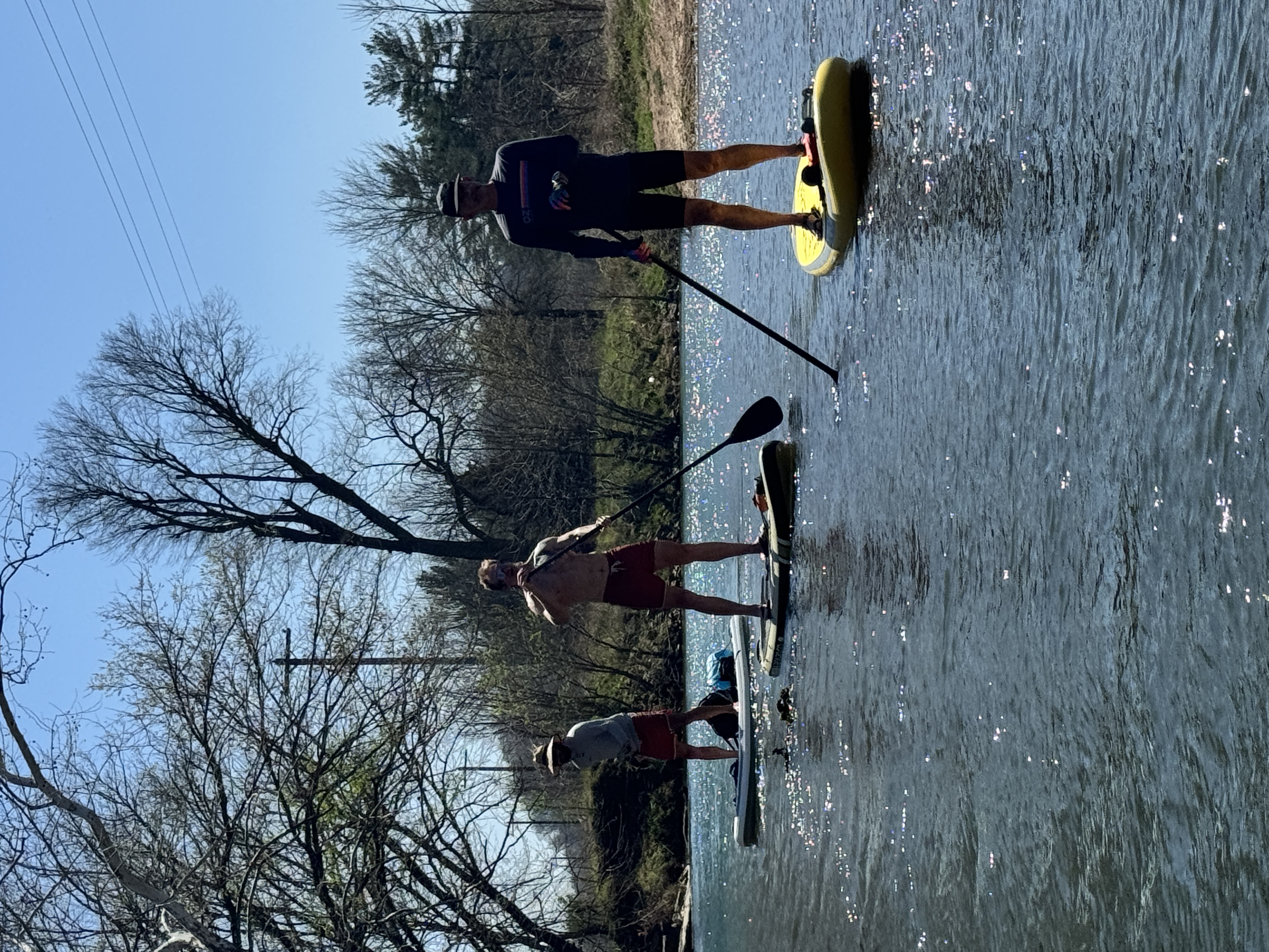 Three paddlers standing on SUP boards on Little Sugar Creek